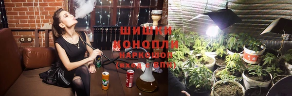 ПСИЛОЦИБИНОВЫЕ ГРИБЫ Липки