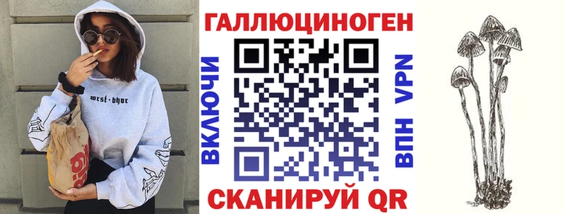 дарнет шоп  Алатырь  Псилоцибиновые грибы GOLDEN TEACHER 